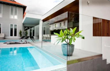 Green plant beside backdoor pool enclosed by glass pool fence